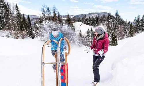 Subkategorie 1.3 Bild 7